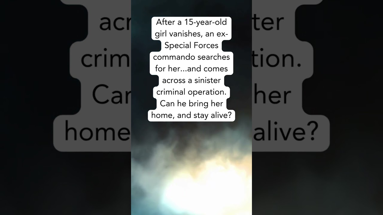 Thriller Novel for Lee Child Fans 