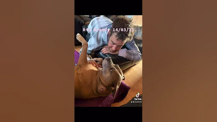 RIP Brandy