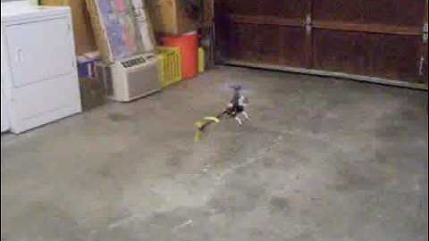 First hover Belt CP  without training gear.