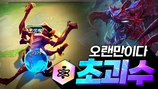 [ENG Sub]이 피통, 이 생존력 이것이 바로 초괴수입니다 (롤토체스, TFT, 롤토체스6.5시즌)