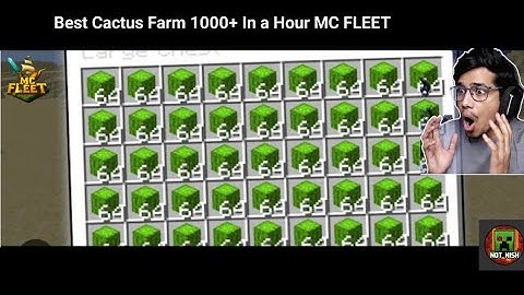 Ultimate Cactus Farm in MC fleet