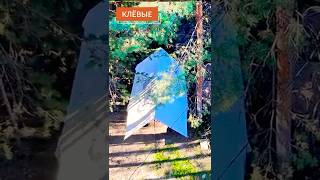 🌅БУХТАРМА | В поисках спота #кемпинг #travel #палатка #природа