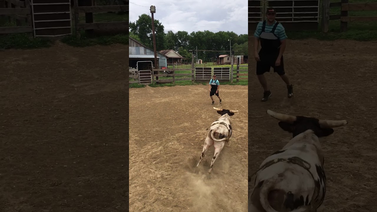 Friendship, Tn YouTube