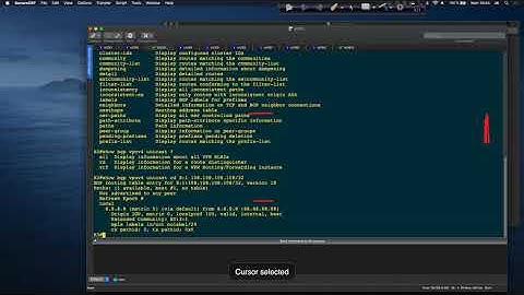 21. CCIE Ent 2020 : MPLS L3 VPN, PE-CE routing with OSPF