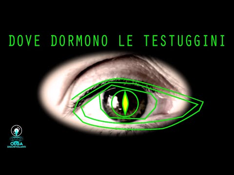 Incontrollabili Serpenti - Dove Dormono Le Testuggini - Where the Tortoises Sleep