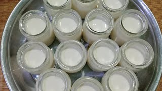 Cách làm sữa chua ngon/ How to make delicious yogurt