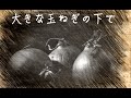 【大きな玉ねぎの下で / 爆風スランプ】昭和の名曲 歌謡曲 カバー歌ってみた 昭和