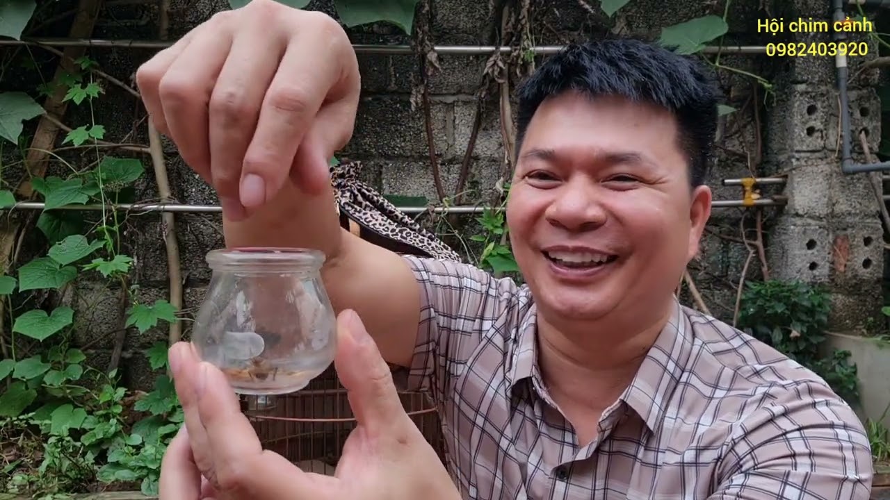 Cách điều trị tật *chim chòe than bỏ cám*