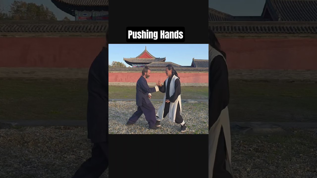 Wudang Pushing Hands 