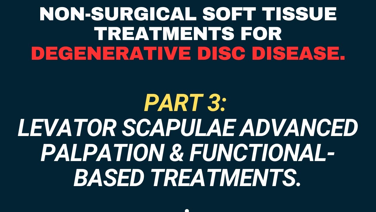Part 3: Levator Scapulae Advanced Palpation & Functional-Based Treatments.
