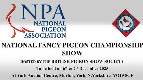 2025 York National Fancy Pigeon Championship Show