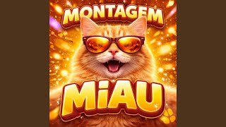 Montagem Miau - Lenar