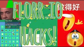 FLORR.IO HACKS #florrio #florr #iosgames #hack #hacks #hacker #code #florrioupdate #games #unblocked