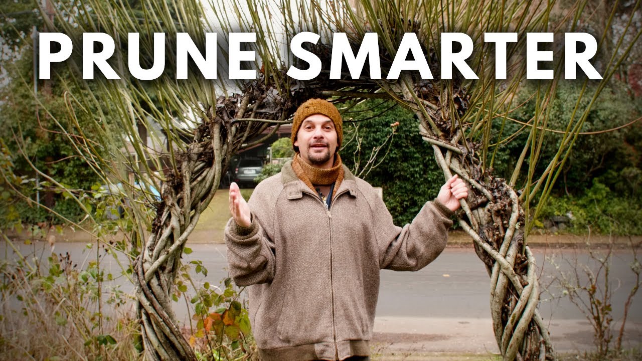 PRUNE SMARTER with these 3 questions - YouTube