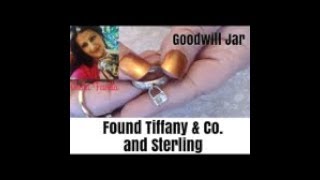 Goodwill Jewelry Jar- Tiffany & CO.  925 Sterling, 925 ,Gold and silver tone and more Unicorn