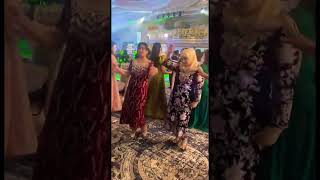 #music #свадьба #dance #weeding #uzbekistan #uzbekweeding #uzbekfood #samarkand #