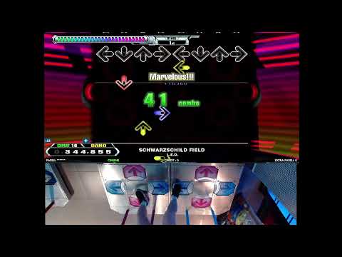 DDR: Schwarzschild Field EDP
