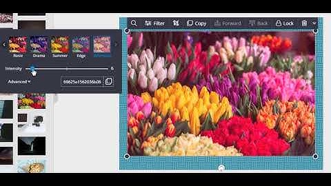 DesignBold - Online Graphic Design Tool | How To Utilize Filters