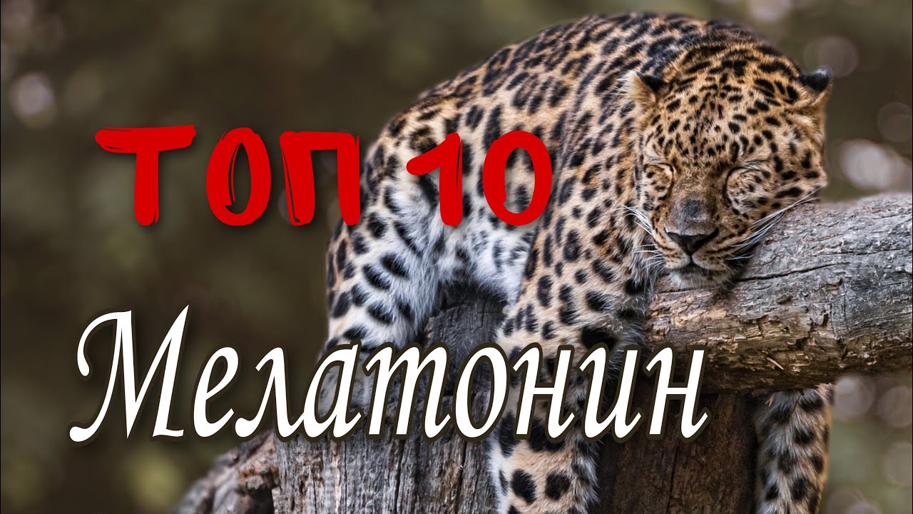 Топ 10 мелатонин. Какой мелатонин лучше с Айхерб Iherb Ай херб лучшее ...