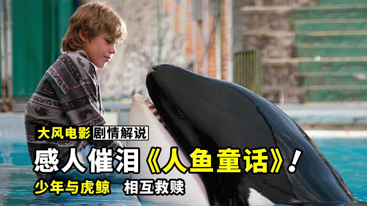 少年与虎鲸的故事，30年前的电影，现在看依旧催人泪下《人鱼童话》