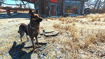 The Ultimate Fallout 4 Experience for Survival Mode : Part 4 - 2020 Edition