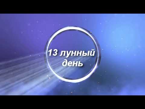 13 лунные сутки