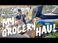 Toilet Paper Dances and Grocery Hauls