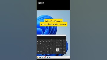 screenshot whole screen #windows11 #viralshorts #shorts #tips #fypyoutube #viralvideo