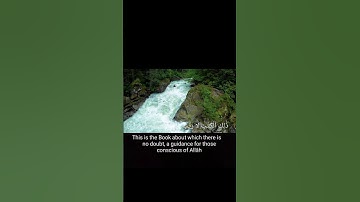 سورة البقرة تلاوة تريح القلوب القران هوا الحياة #فلسطين #غزة #tiktok