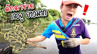 ตะโกนลั่นทุ่ง ดักตาข่ายในนา 6 ปาก | เด็กตกปลา