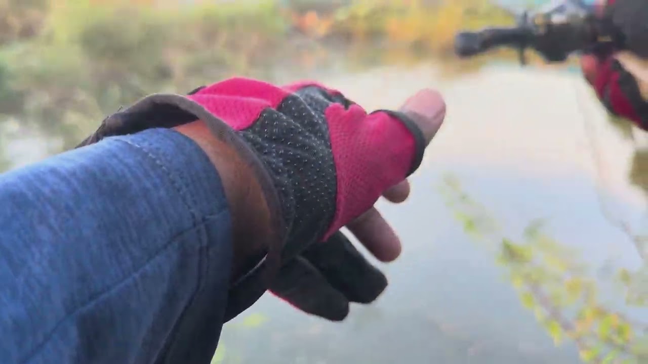 ប្រឡង​ក្រោយ​ផ្ទះ​ ល្មម​ៗវាត់ជាមួយ​ត្រី​ដៀប​ ត្រី​ រ៉ស់​ 