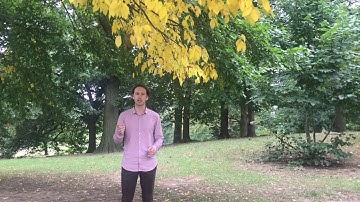 Standuply Pitch Video #SaaStock18