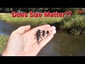 Trout Fishing Lure Selection || Does Size Matter?