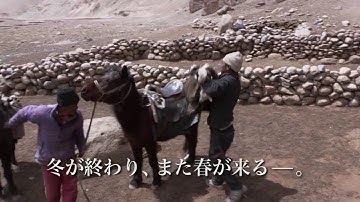 アジアンドキュメンタリーズ配信「ラダック　氷河の羊飼い」予告編【日本初配信】