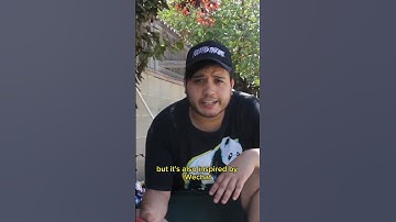 How WeChat Inspired Elon Musk to Change Twitter’s Name to X #elonmusk #twitter #wechat #fyp #viral