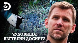 видео: Намерих отпечатък! | Чудовища: Изгубени досиета картинка: Намерих отпечатък! | Чудовища: Изгубени досиета