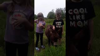 Tucker and Olivia talking about the Donkey and Cows on the homestead.