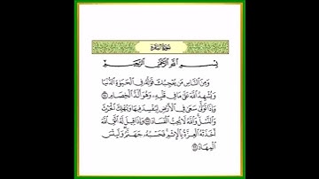 سورة البقرة من الآية 204 إلى الآية 206 بصوت الشيخ ياسر الدوسرى