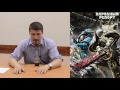 Народный репорт: Warhammer для начинающих - ч. 2 "Первая армия, Первый ростер"