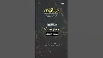سورة الطلاق