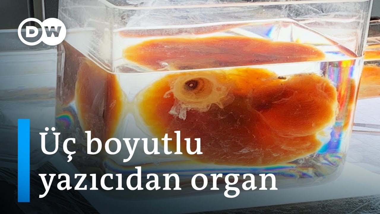 Türk bilim insanı Ertürk 3D yazıcıdan organ üretecek - DW Türkçe