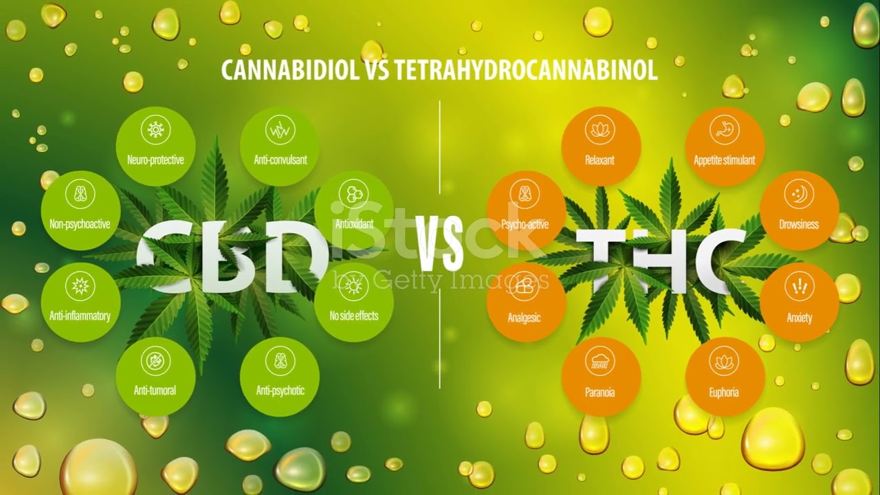 Unraveling The THC Terpene Profile