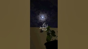 ﴿لَقَدْ كَانَ فِي قَصَصِهِمْ عِبْرَةٌ لِّأُولِي الْأَلْبَابِ﴾#عبدالرحمن_مسعد #سورة_يوسف