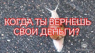 Окупаемость готового бизнеса