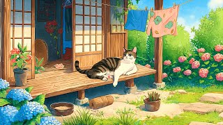 Chill Spring Morning ⛅ Lofi Spring Vibes ⛅ Morning Lofi Songs To Make You Start Your Day Peacefully by Lofi Cat 2,294 views 5 days ago 24 hours
