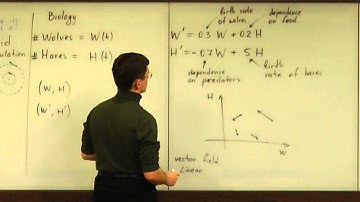 Lecture 2012.02.13 Part 03/5 Example: Biological System 2D