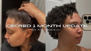 CECRED 1 MONTH UPDATED REVIEW | WATCH MY SILK PRESS REVERT | NONBEYHIVER
