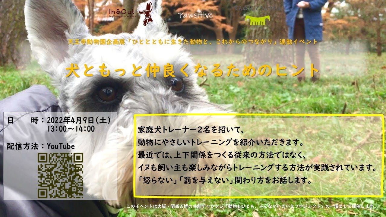 犬ともっと仲良くなるためのヒント Youtube