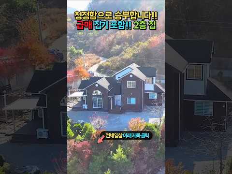 급매 1억 7천!! 사정상 집기 포함!! 청정함으로 승부!! 파쇄석 마당 넓은 주차장!! 시원한 전망의 시골집 전원주택 매매 급매물 #shorts