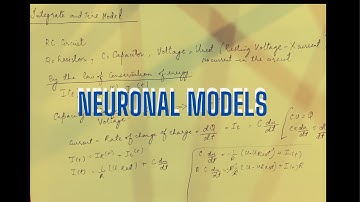 Understanding RC Circuits in Neuroscience: Explained in Simple Terms"